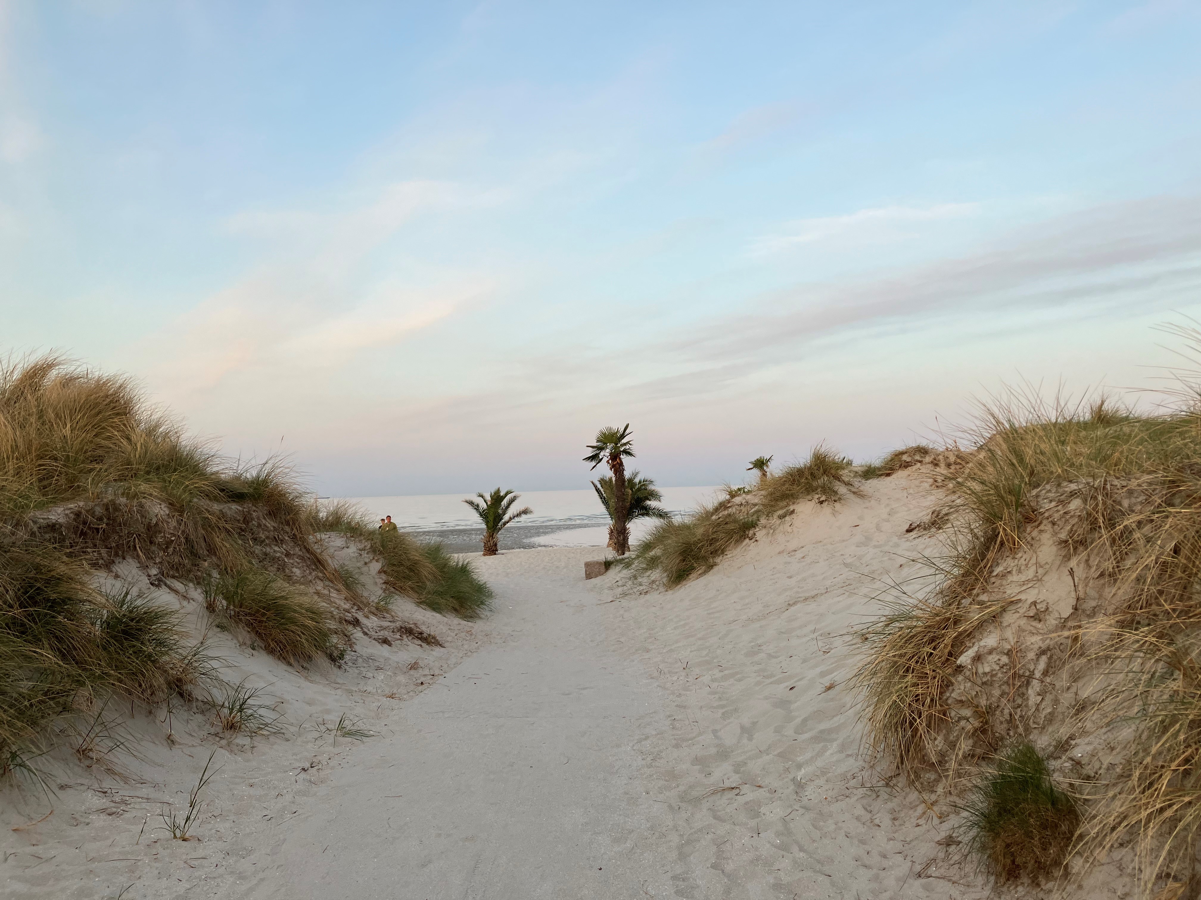 Palmestanden en majaften