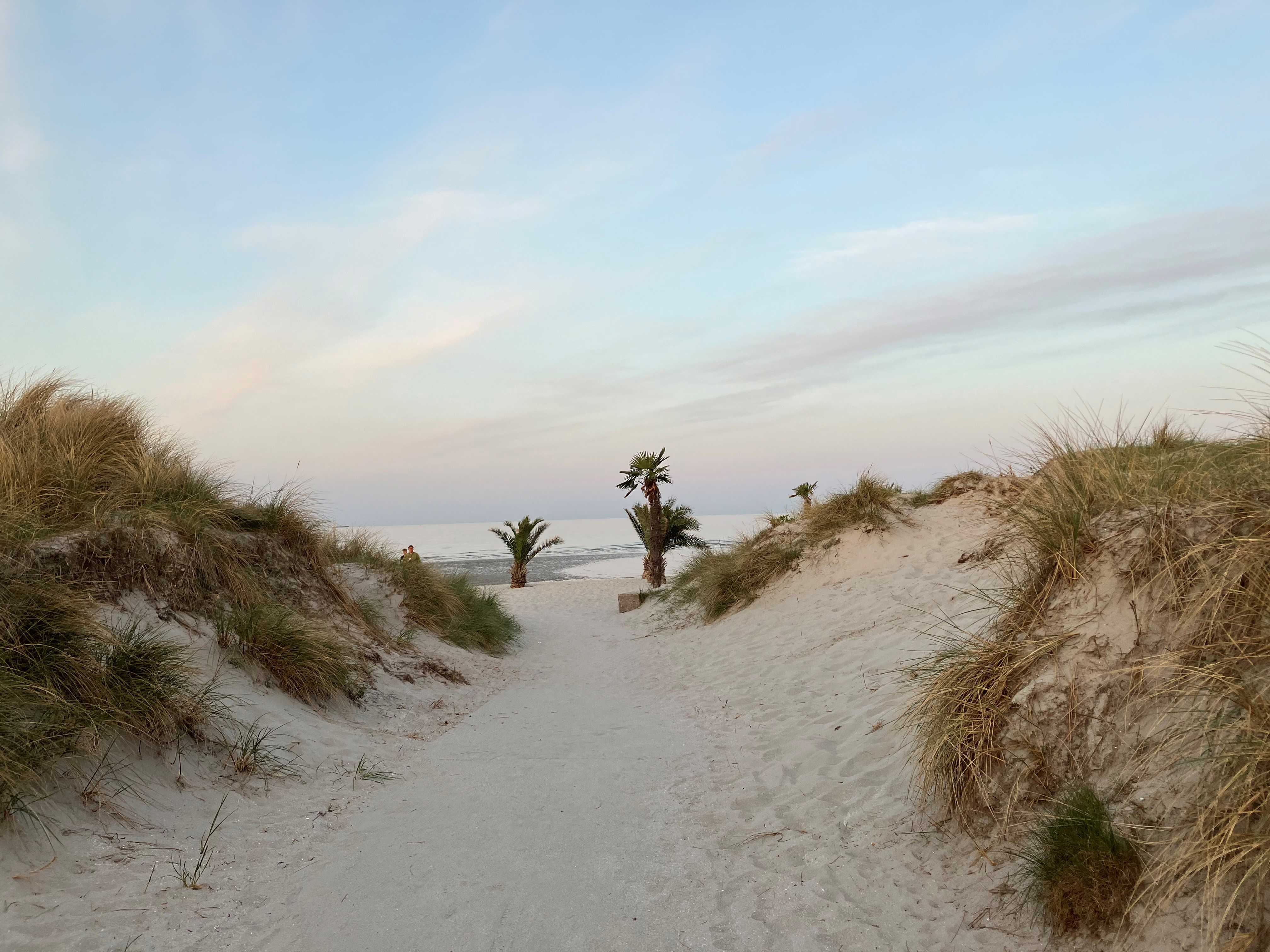 Palmestanden en majaften